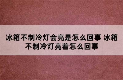 冰箱不制冷灯会亮是怎么回事 冰箱不制冷灯亮着怎么回事